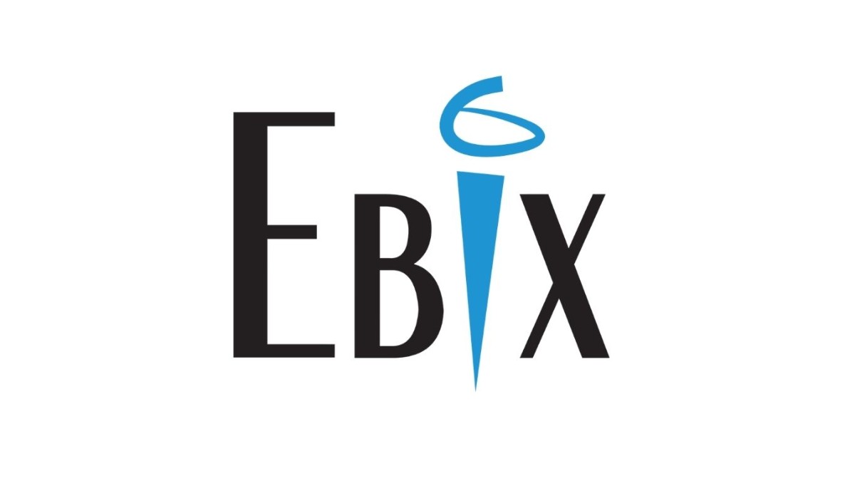 Ebix rejigs board, appoints 3 Ind. Directors